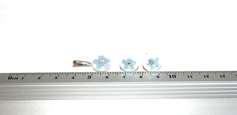 Earrings with forget-me-nots
