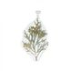 Silver pendant. Firs and arborvitae with cones, epoxy