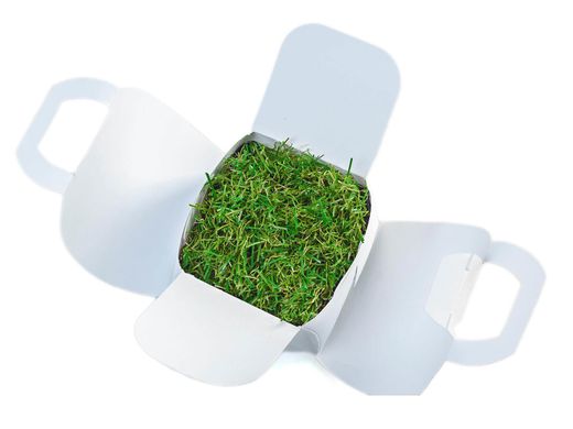 Ring with grass