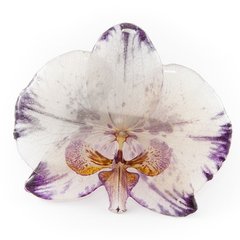 Брошь c пёстрой фиолетовой орхидеей (большая)
