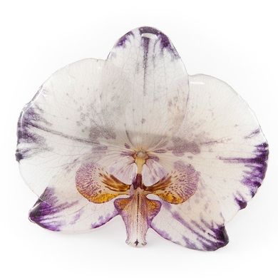 Брошь c пёстрой фиолетовой орхидеей (большая)