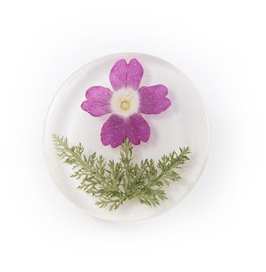 Brooch with vervain