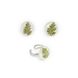 Set "Field grass" (earrings and ring)