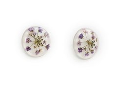 Earrings with iberis flower