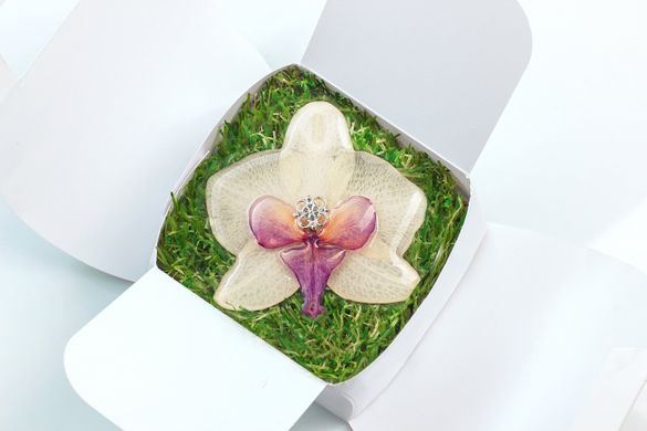 Брошка з білою королевською орхідеєю