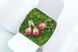 Серьги и кольцо с малиновой розой