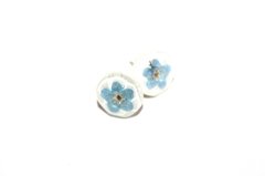 Earrings with forget-me-nots