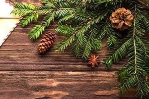 Що ми знаємо про справжній символ новорічних свят - ароматну ялинку?