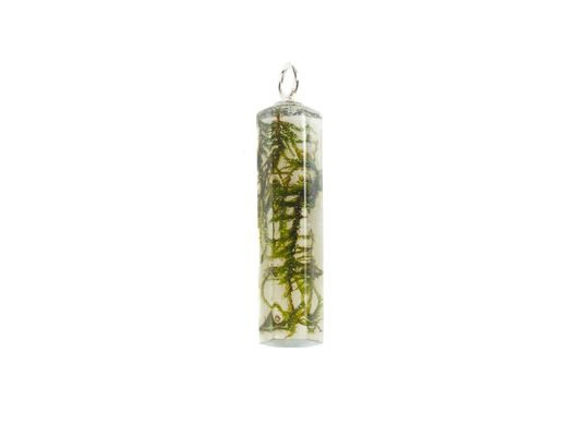 Pendant "Crystal" with grass