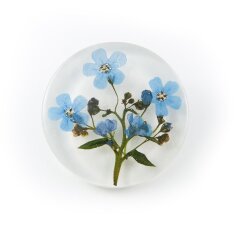 Brooch with forget-me-nots