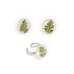 Set "Field grass" (earrings and ring)