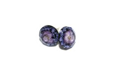 Earrings with iberis flowers