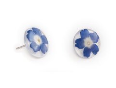Earrings with blue vervain