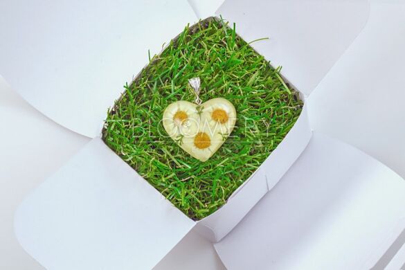 Pendant "Heart" with chamomile