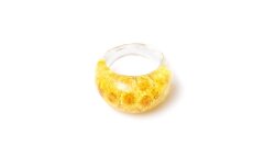 Ring with immortelle